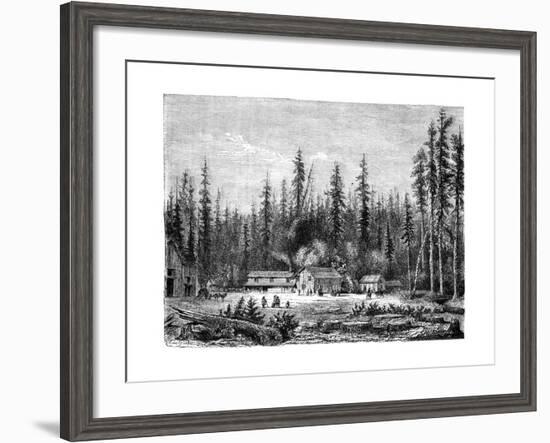 Giant Sequoia Forest, California, 19th Century-Paul Huet-Framed Giclee Print