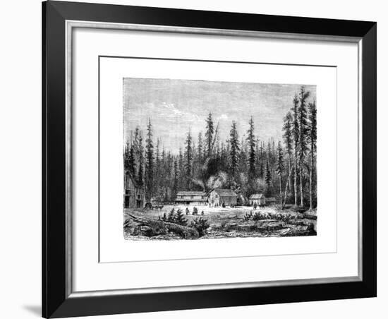 Giant Sequoia Forest, California, 19th Century-Paul Huet-Framed Giclee Print