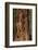 Giant Sequoia Tree Trunk, Tuolumne Grove, Yosemite NP, California-David Wall-Framed Photographic Print