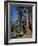 Giant Sequoia Trees, Mariposa Grove, Near Yosemite, California, USA-Geoff Renner-Framed Photographic Print