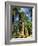 Giant Sequoia Trees, Mariposa Grove, Yosemite National Park, California, USA-Gavin Hellier-Framed Photographic Print