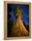 Giant Sequoia under the Milky Way-Ian Shive-Framed Premier Image Canvas