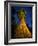 Giant Sequoia under the Milky Way-Ian Shive-Framed Photographic Print