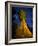 Giant Sequoia under the Milky Way-Ian Shive-Framed Photographic Print