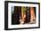 Giant Sequoias in Yosemite National Park,California-lorcel-Framed Photographic Print