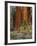 Giant Sequoias, Yosemite National Park, California, USA-Adam Jones-Framed Photographic Print