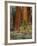 Giant Sequoias, Yosemite National Park, California, USA-Adam Jones-Framed Photographic Print