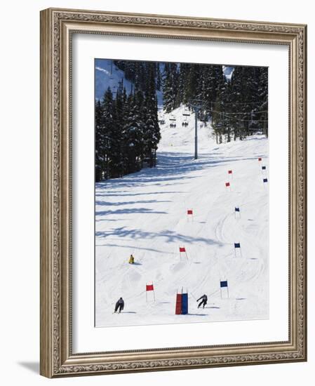 Giant Slalom Racers at Whistler Mountain Resort-Christian Kober-Framed Photographic Print