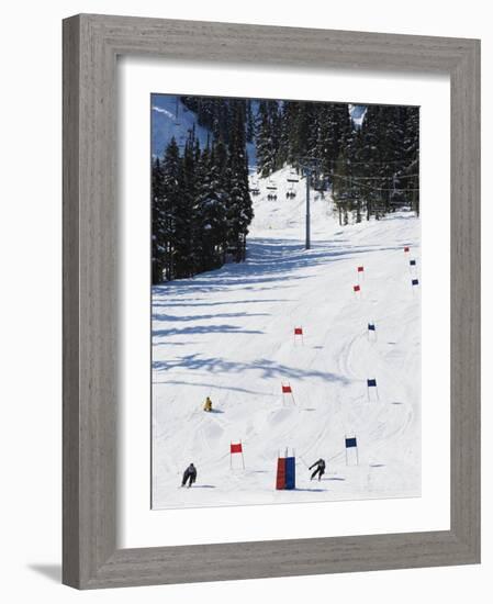 Giant Slalom Racers at Whistler Mountain Resort-Christian Kober-Framed Photographic Print