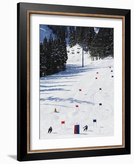 Giant Slalom Racers at Whistler Mountain Resort-Christian Kober-Framed Photographic Print