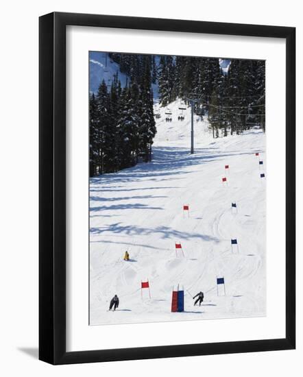 Giant Slalom Racers at Whistler Mountain Resort-Christian Kober-Framed Photographic Print