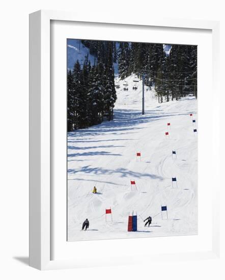 Giant Slalom Racers at Whistler Mountain Resort-Christian Kober-Framed Photographic Print