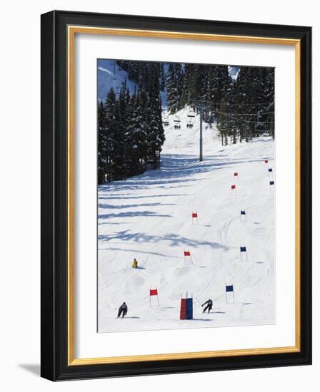 Giant Slalom Racers at Whistler Mountain Resort-Christian Kober-Framed Photographic Print