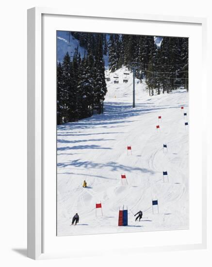 Giant Slalom Racers at Whistler Mountain Resort-Christian Kober-Framed Photographic Print