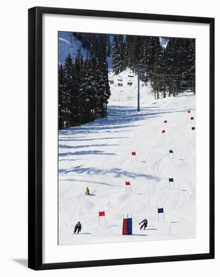 Giant Slalom Racers at Whistler Mountain Resort-Christian Kober-Framed Photographic Print