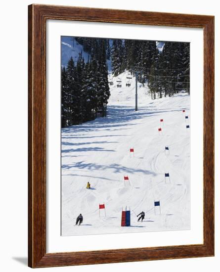 Giant Slalom Racers at Whistler Mountain Resort-Christian Kober-Framed Photographic Print