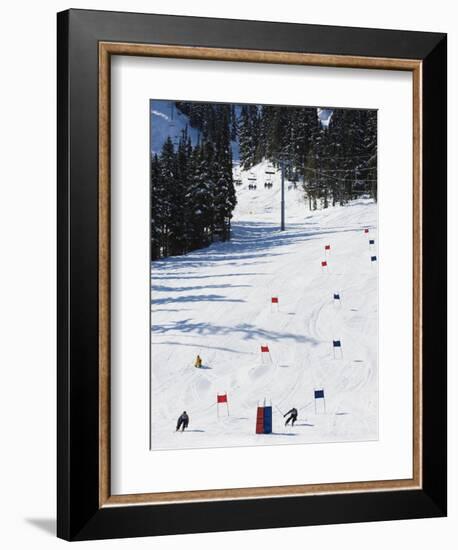 Giant Slalom Racers at Whistler Mountain Resort-Christian Kober-Framed Photographic Print