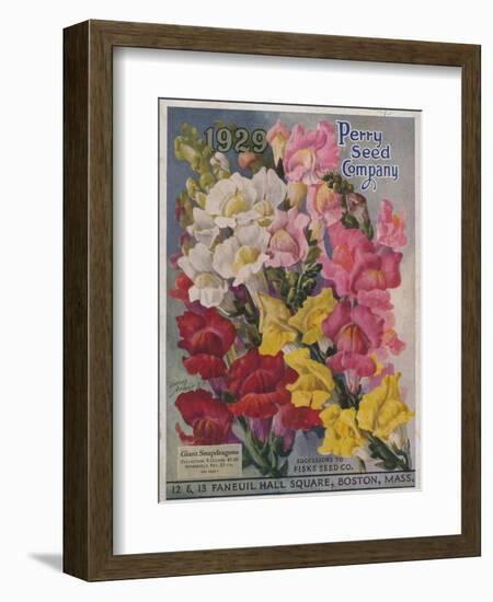 Giant Snapdragons from the Perry Seed Company-null-Framed Art Print