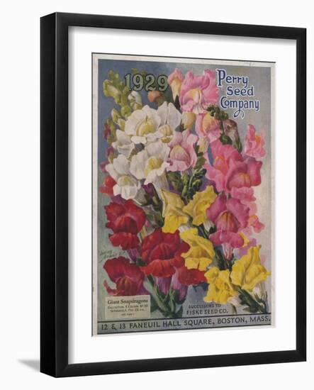 Giant Snapdragons from the Perry Seed Company-null-Framed Art Print