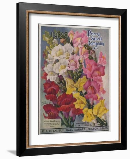 Giant Snapdragons from the Perry Seed Company-null-Framed Art Print