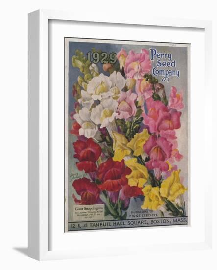 Giant Snapdragons from the Perry Seed Company-null-Framed Art Print