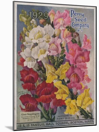 Giant Snapdragons from the Perry Seed Company-null-Mounted Art Print