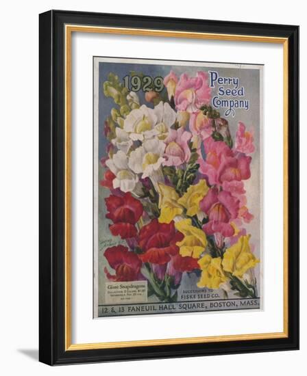 Giant Snapdragons from the Perry Seed Company-null-Framed Art Print