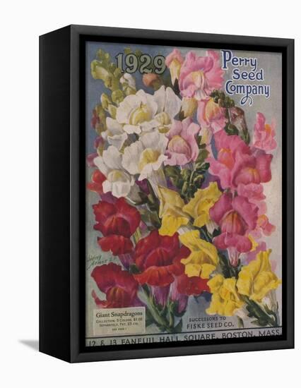 Giant Snapdragons, Perry Seed Company-null-Framed Stretched Canvas