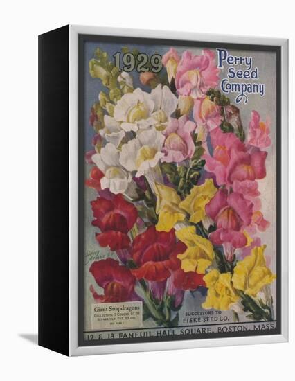 Giant Snapdragons, Perry Seed Company-null-Framed Stretched Canvas