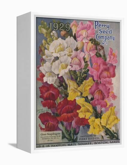 Giant Snapdragons, Perry Seed Company-null-Framed Stretched Canvas