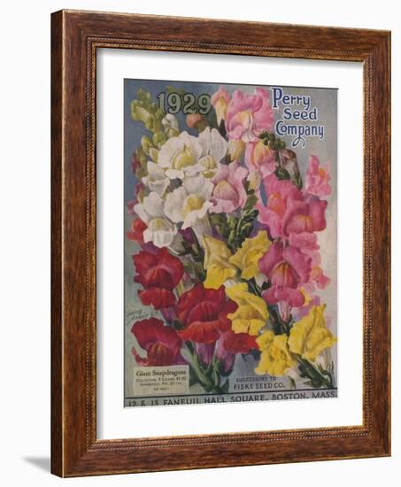 Giant Snapdragons, Perry Seed Company-null-Framed Art Print