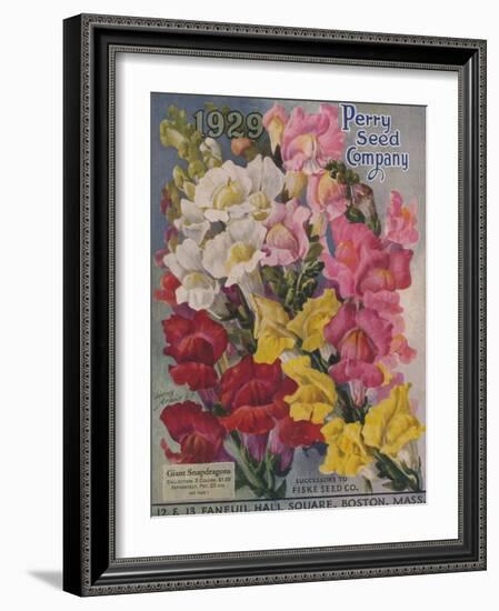 Giant Snapdragons, Perry Seed Company-null-Framed Art Print