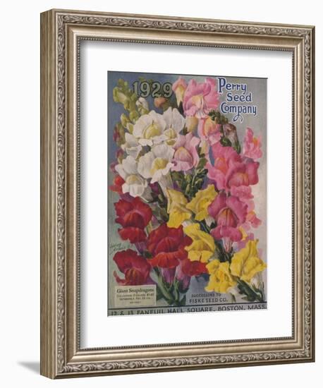Giant Snapdragons, Perry Seed Company-null-Framed Premium Giclee Print