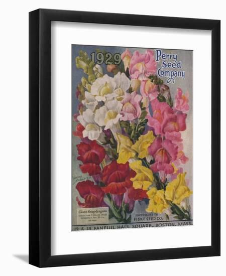 Giant Snapdragons, Perry Seed Company-null-Framed Premium Giclee Print