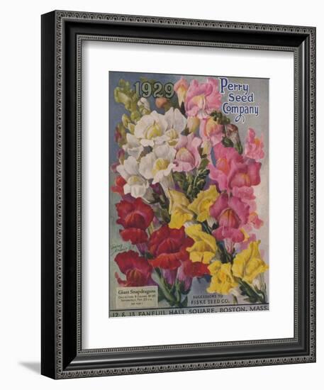 Giant Snapdragons, Perry Seed Company-null-Framed Art Print