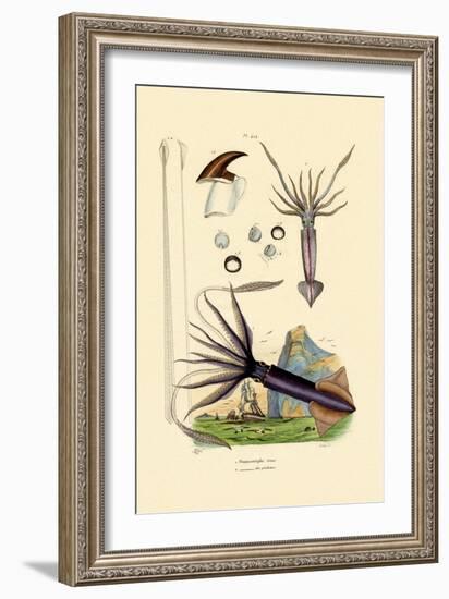 Giant Squid, 1833-39-null-Framed Giclee Print