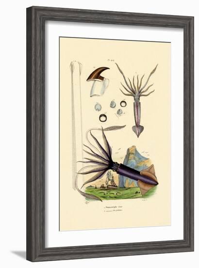 Giant Squid, 1833-39-null-Framed Giclee Print