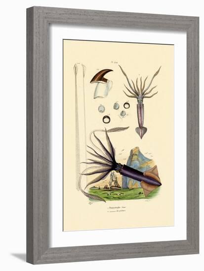 Giant Squid, 1833-39-null-Framed Giclee Print