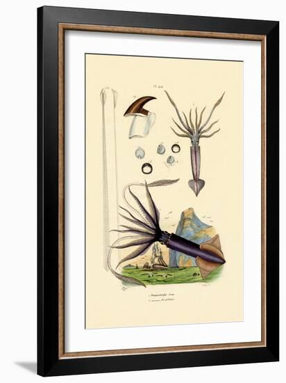 Giant Squid, 1833-39-null-Framed Giclee Print