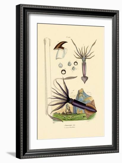 Giant Squid, 1833-39-null-Framed Giclee Print