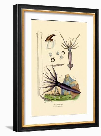 Giant Squid, 1833-39-null-Framed Giclee Print