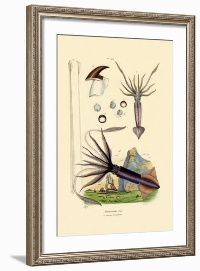 Giant Squid, 1833-39-null-Framed Giclee Print