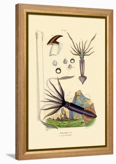 Giant Squid, 1833-39-null-Framed Premier Image Canvas