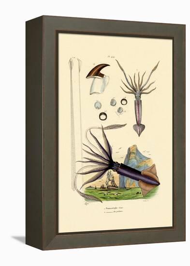 Giant Squid, 1833-39-null-Framed Premier Image Canvas