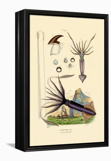 Giant Squid, 1833-39-null-Framed Premier Image Canvas