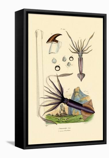 Giant Squid, 1833-39-null-Framed Premier Image Canvas