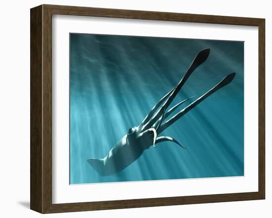 Giant Squid-Christian Darkin-Framed Photographic Print