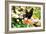 Giant Swallowtail-Alan Hausenflock-Framed Photographic Print