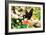 Giant Swallowtail-Alan Hausenflock-Framed Photographic Print