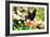 Giant Swallowtail-Alan Hausenflock-Framed Photographic Print